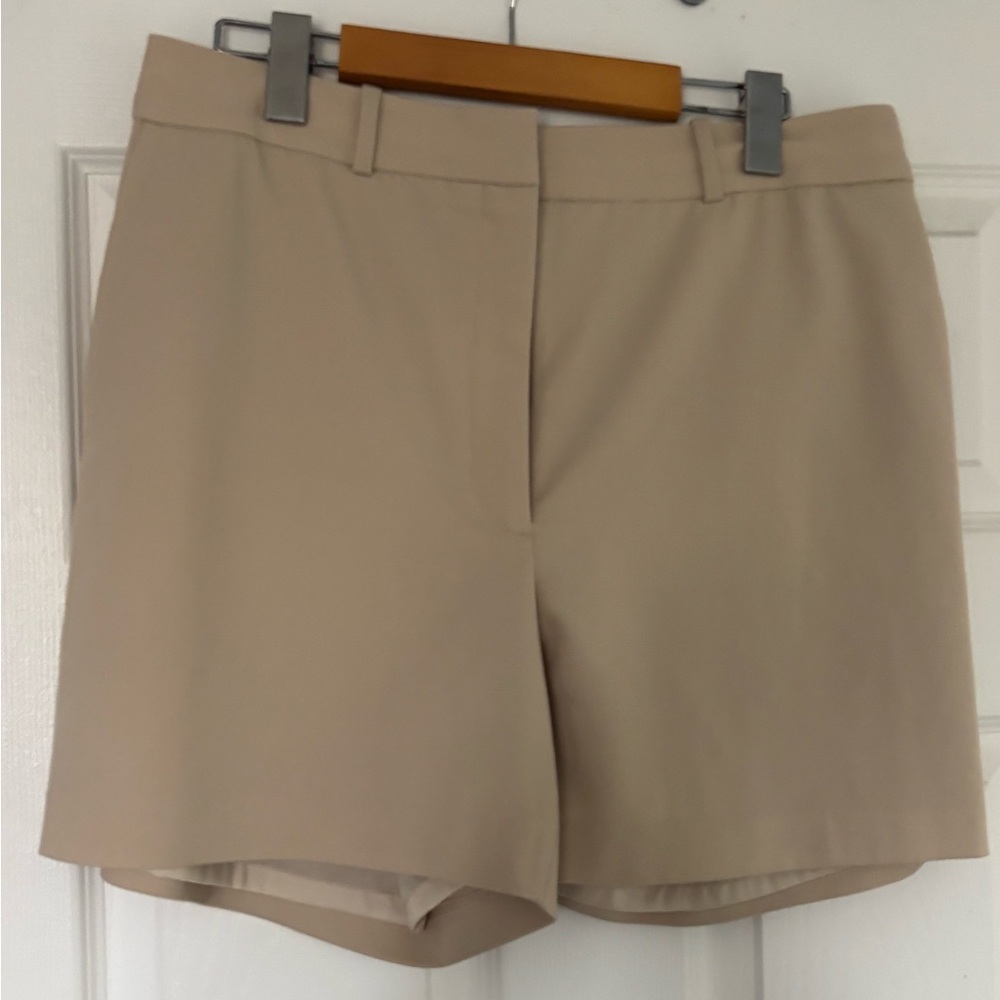 Aritzia Agency shorts